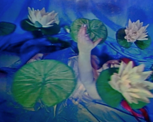 LOTUS