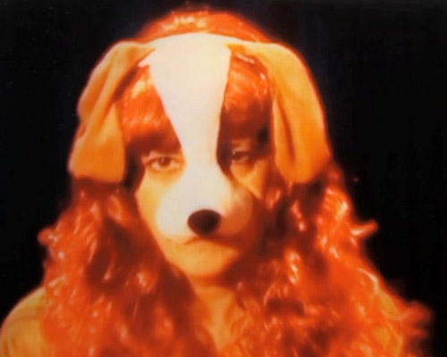 POP DOG